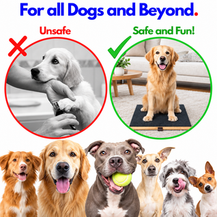 Olyqo Dog Nail Scratch Board with Treat Box