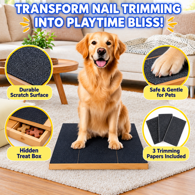 Olyqo Dog Nail Scratch Board with Treat Box